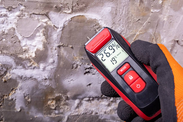 Best Industrial Mold Remediation in Kensington, NY
